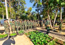 ทหารชายแดน ดำเนินโครงการทหารพันธุ์ดี