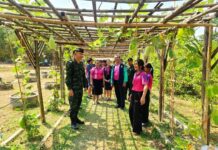 ติดตามผลการดำเนินงานโครงการทหารพันธุ์ดี