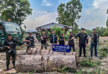 ตรวจยึดไม้ประดู่ จำนวน 5 ท่อน ที่ชายแดน จ.อุบลราชธานี