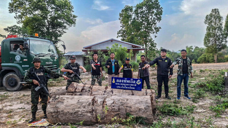 ตรวจยึดไม้ประดู่ จำนวน 5 ท่อน ที่ชายแดน จ.อุบลราชธานี